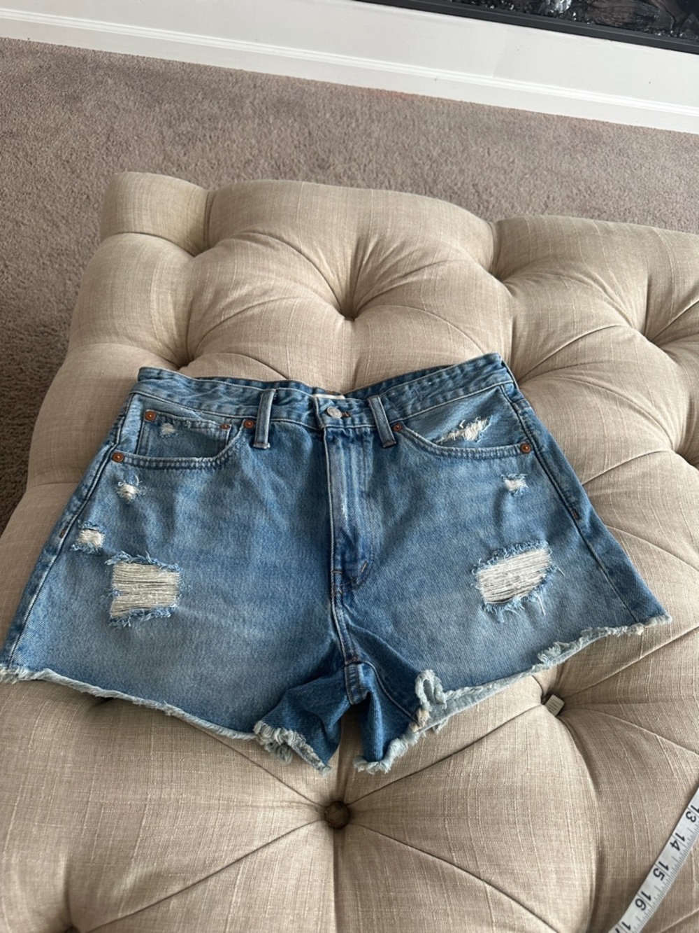 Madewell Light Blue Distressed High-Rise Jean Shorts